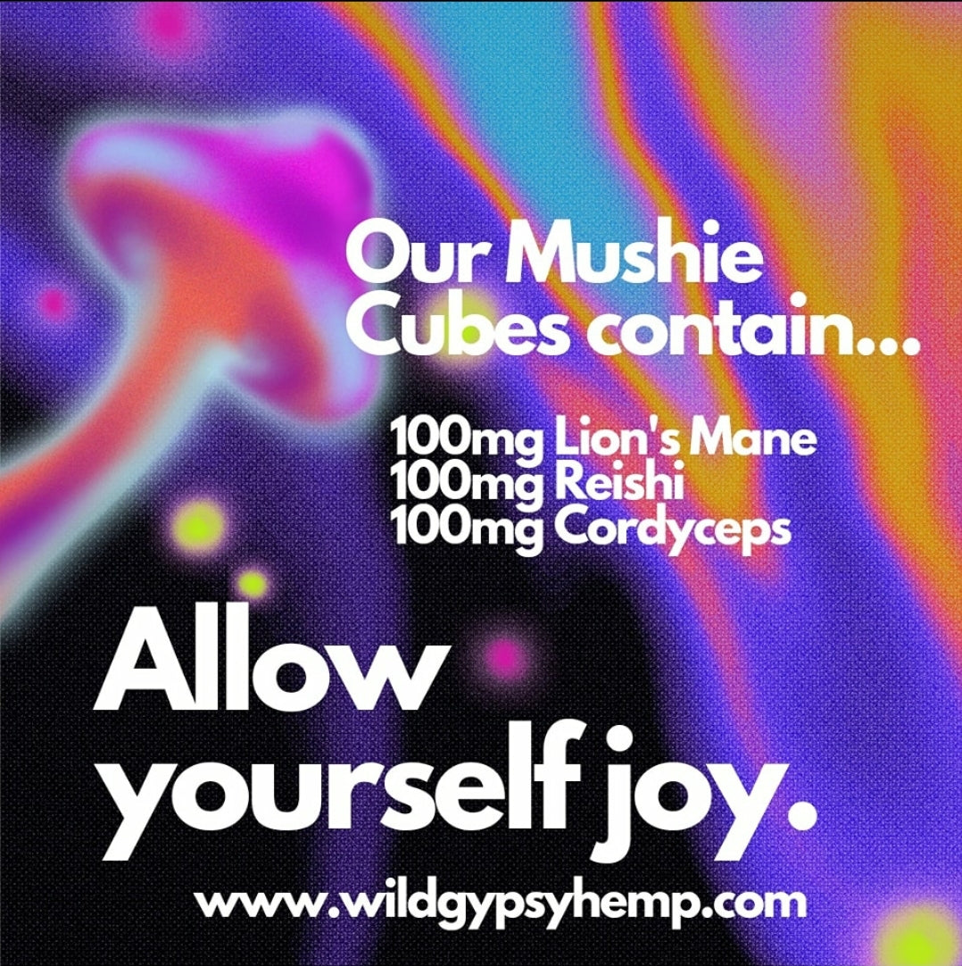 Δ8 + Δ9 MUSHIE CUBES | Strawberry Passionfruit - 250mg.