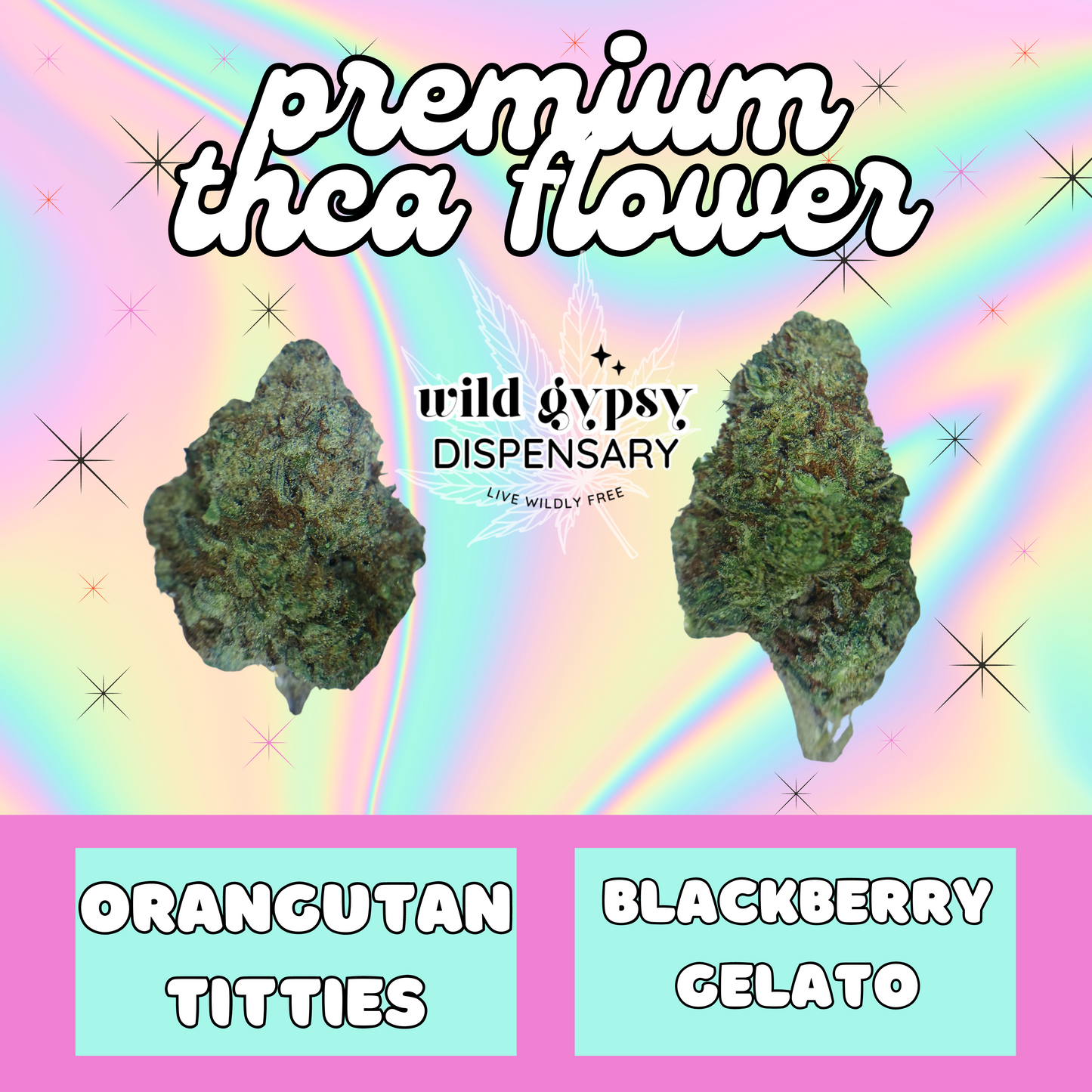 Premium THCA Flower - 3.5g. | Blackberry Gelato
