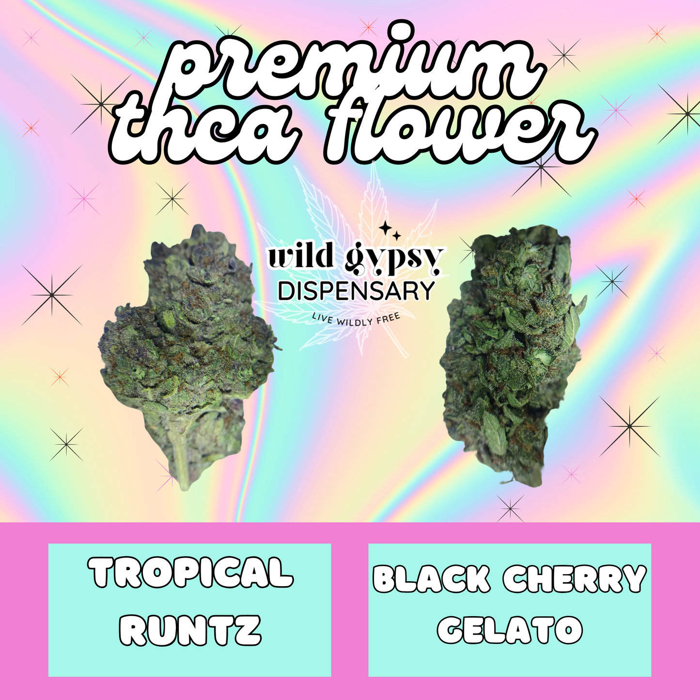 Premium THCA Flower - 3.5g. | Tropical Runtz
